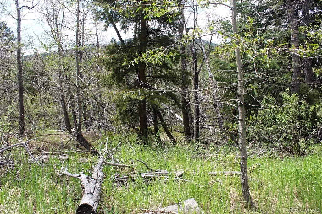 00 Quartz Hill Road Central City CO 80427