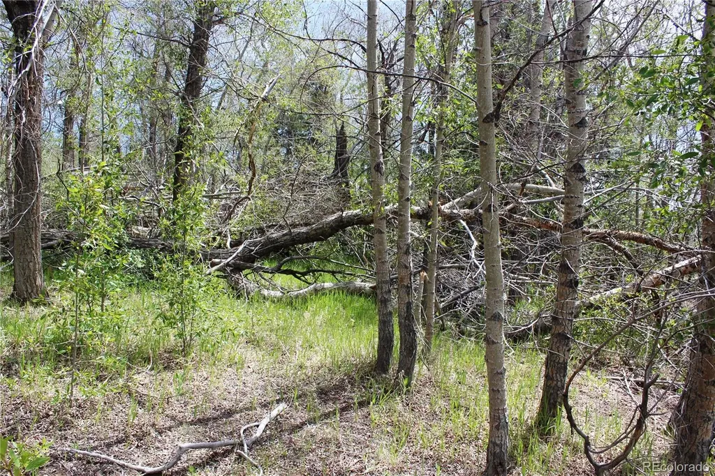 00 Quartz Hill Road Central City CO 80427