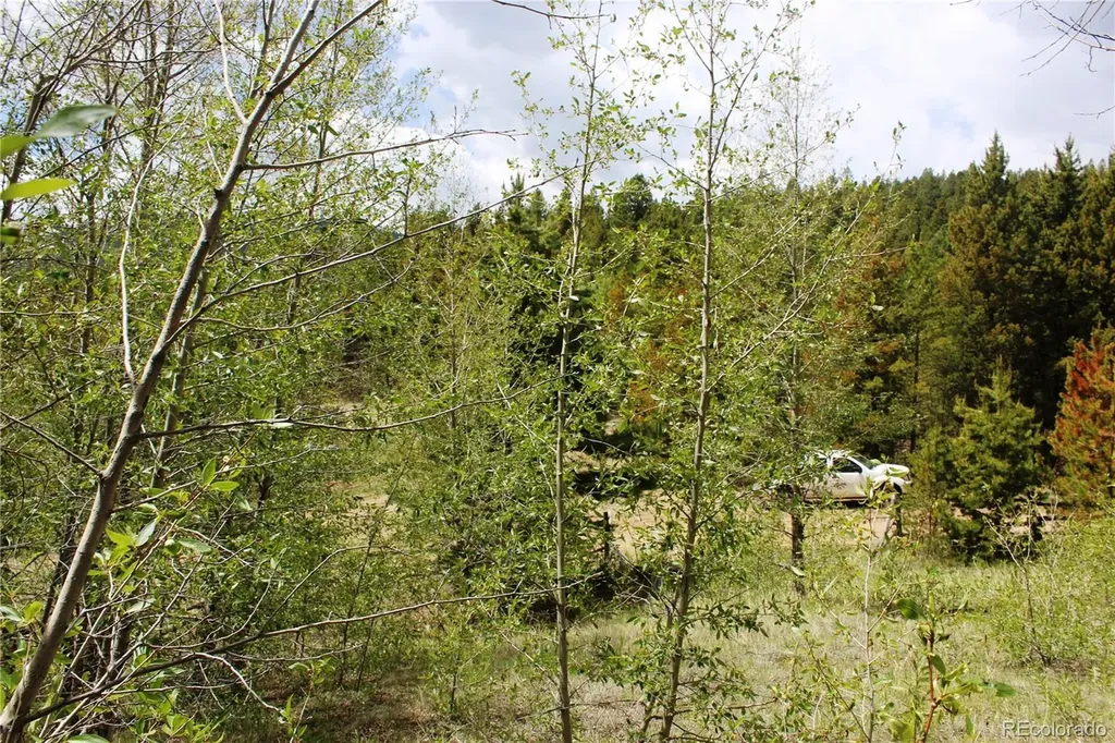 00 Quartz Hill Road Central City CO 80427