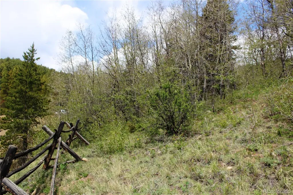 00 Quartz Hill Road Central City CO 80427