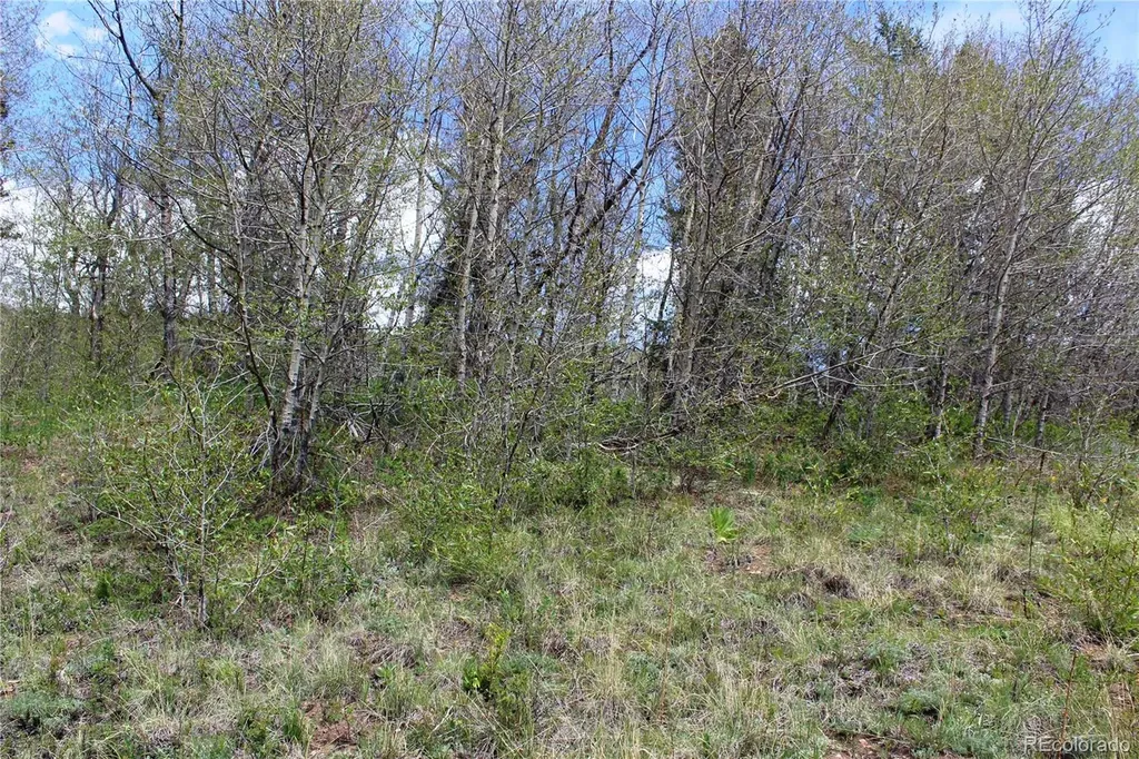 00 Quartz Hill Road Central City CO 80427