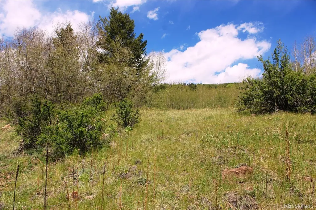 00 Quartz Hill Road Central City CO 80427