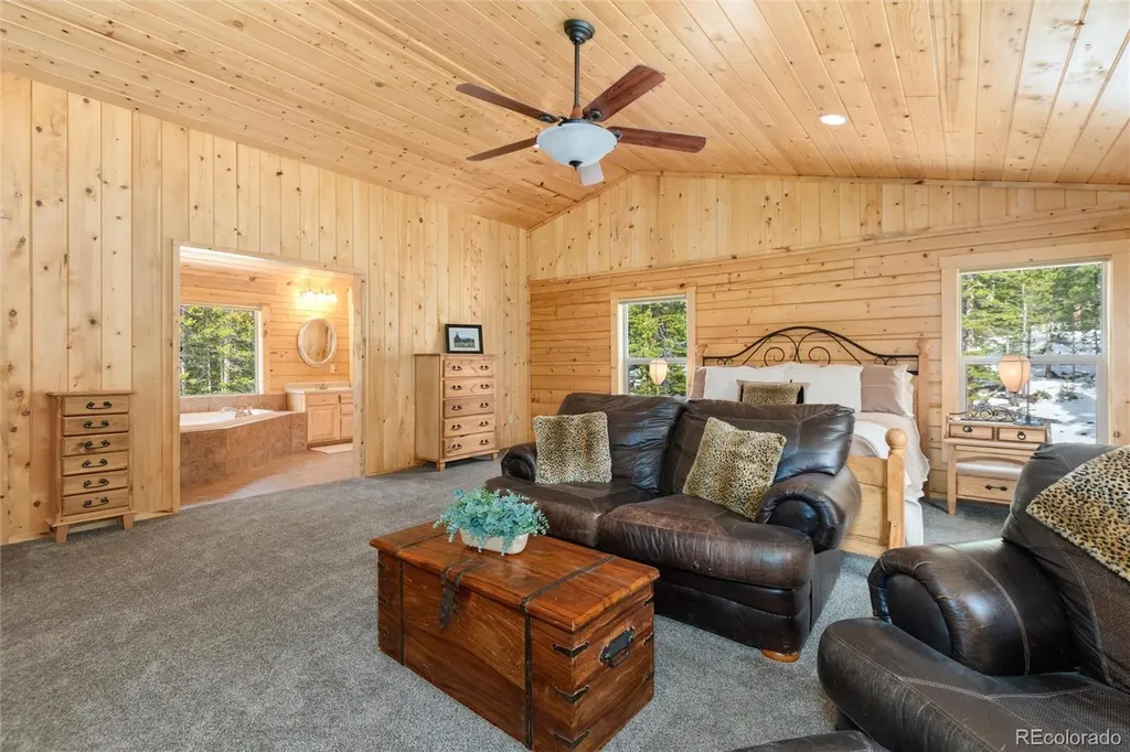 696 Brook Drive Idaho Springs CO 80452
