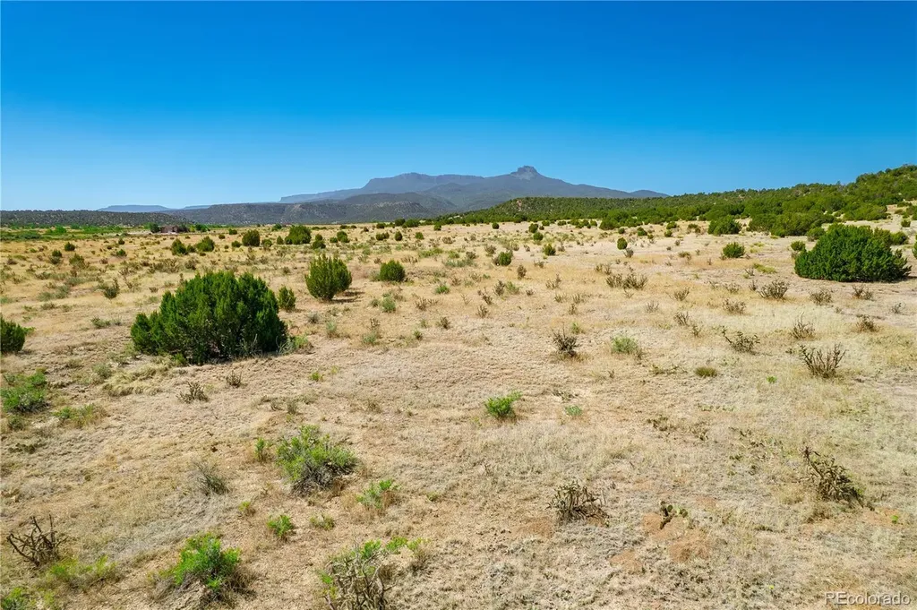 37300 Kunzite Road Trinidad CO 81082