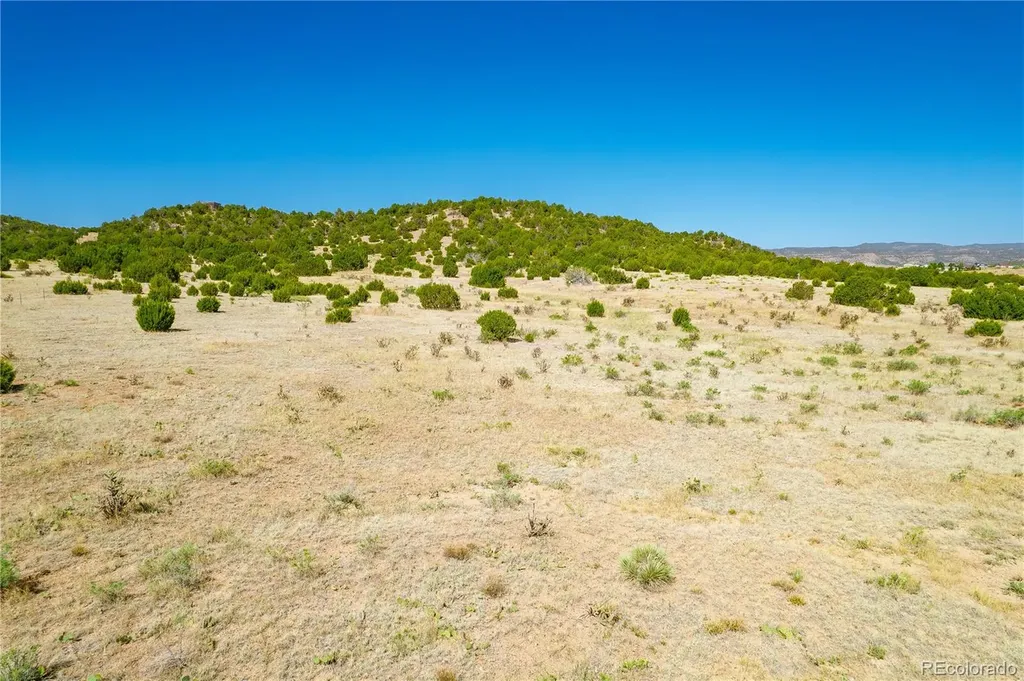 37300 Kunzite Road Trinidad CO 81082