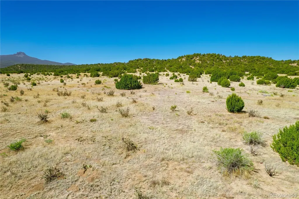37300 Kunzite Road Trinidad CO 81082