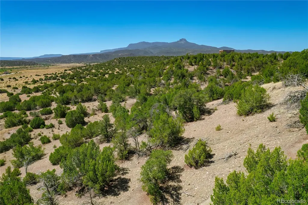 37300 Kunzite Road Trinidad CO 81082