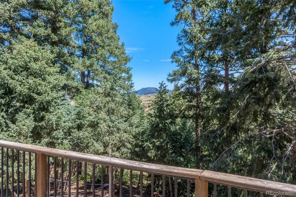 2924 Valley Park Drive Larkspur CO 80118