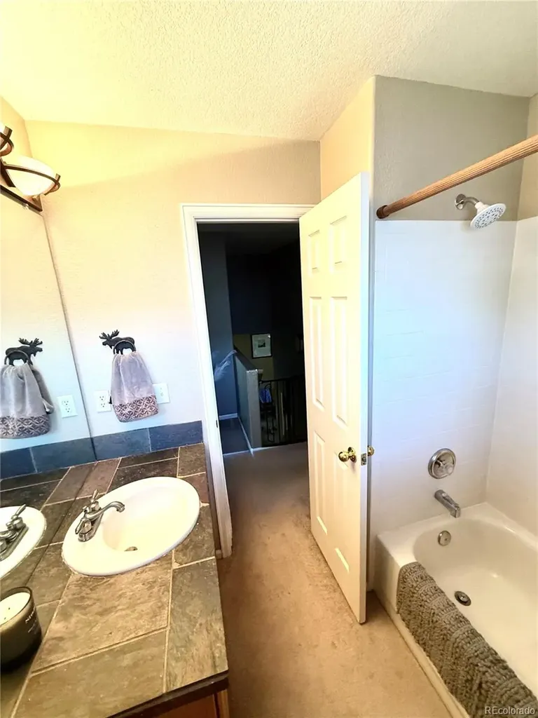 10386 Ravenswood Way Highlands Ranch CO 80130