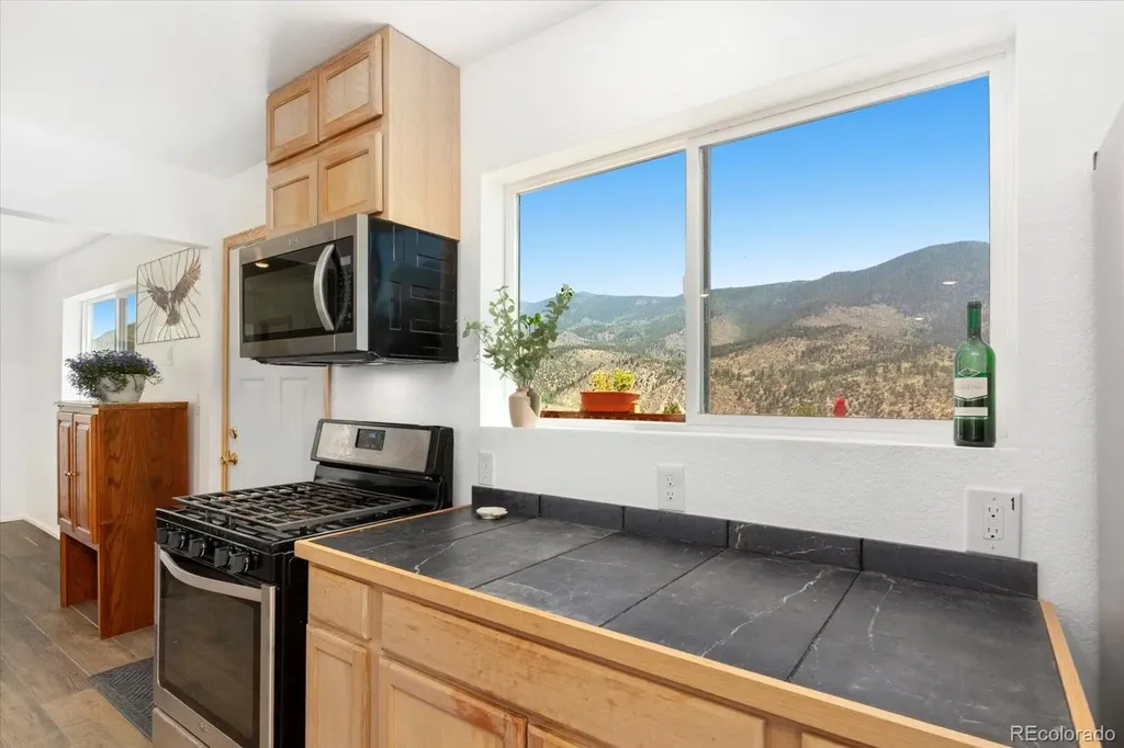 18340 S Lake Road Buena Vista CO 81211