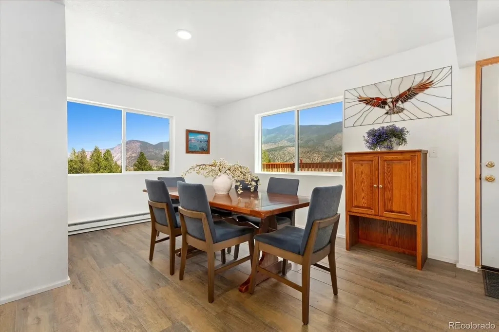 18340 S Lake Road Buena Vista CO 81211