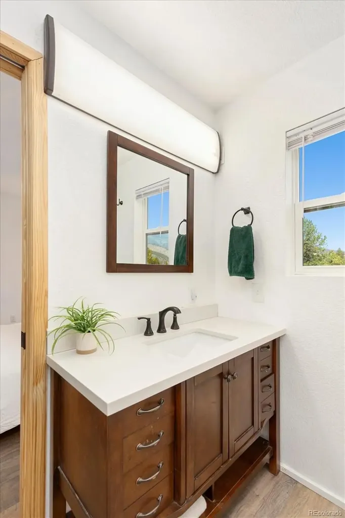 18340 S Lake Road Buena Vista CO 81211