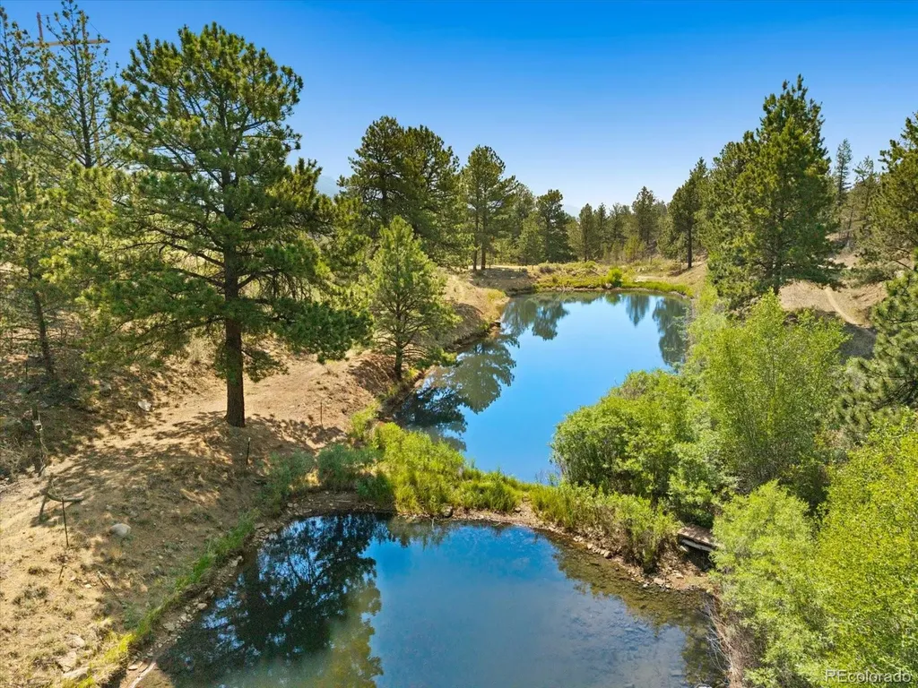 18340 S Lake Road Buena Vista CO 81211