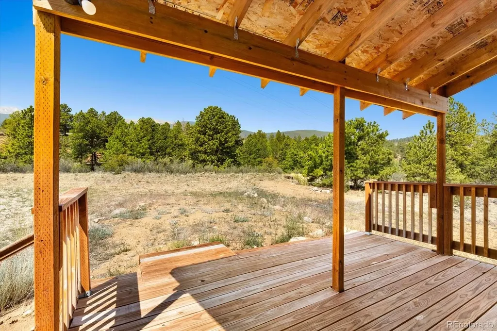 18340 S Lake Road Buena Vista CO 81211