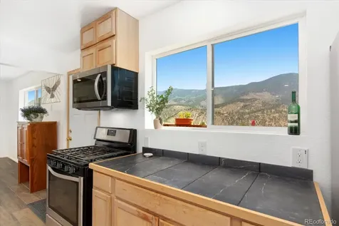 18340 S Lake Road Buena Vista CO 81211