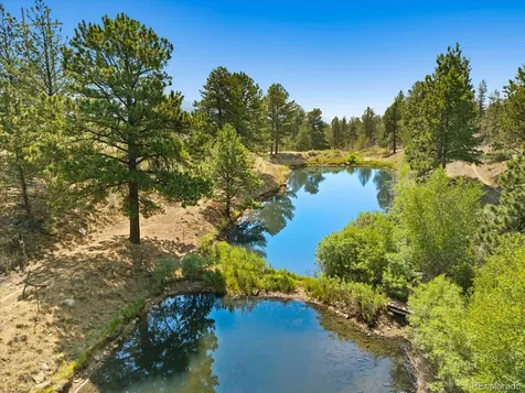 18340 S Lake Road Buena Vista CO 81211