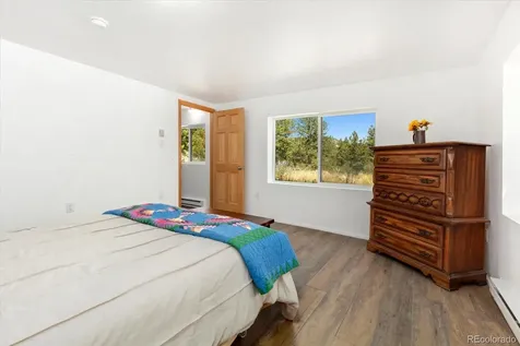 18340 S Lake Road Buena Vista CO 81211