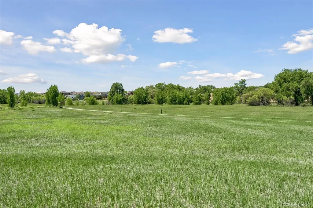 19454 E Clear Creek Trail Parker CO 80134