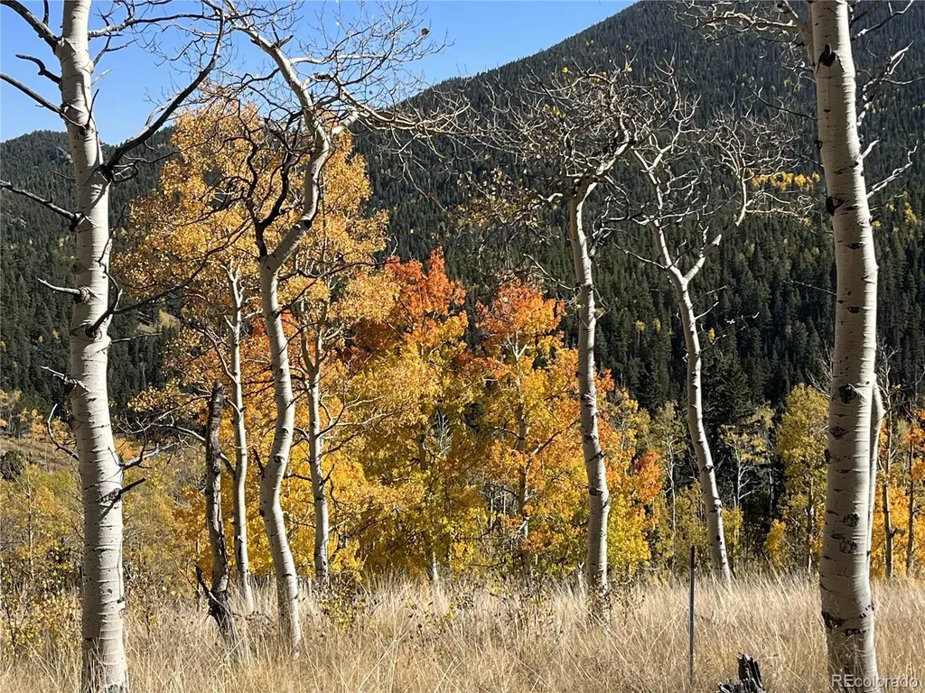 3425 Co Road 360 Westcliffe CO 81252