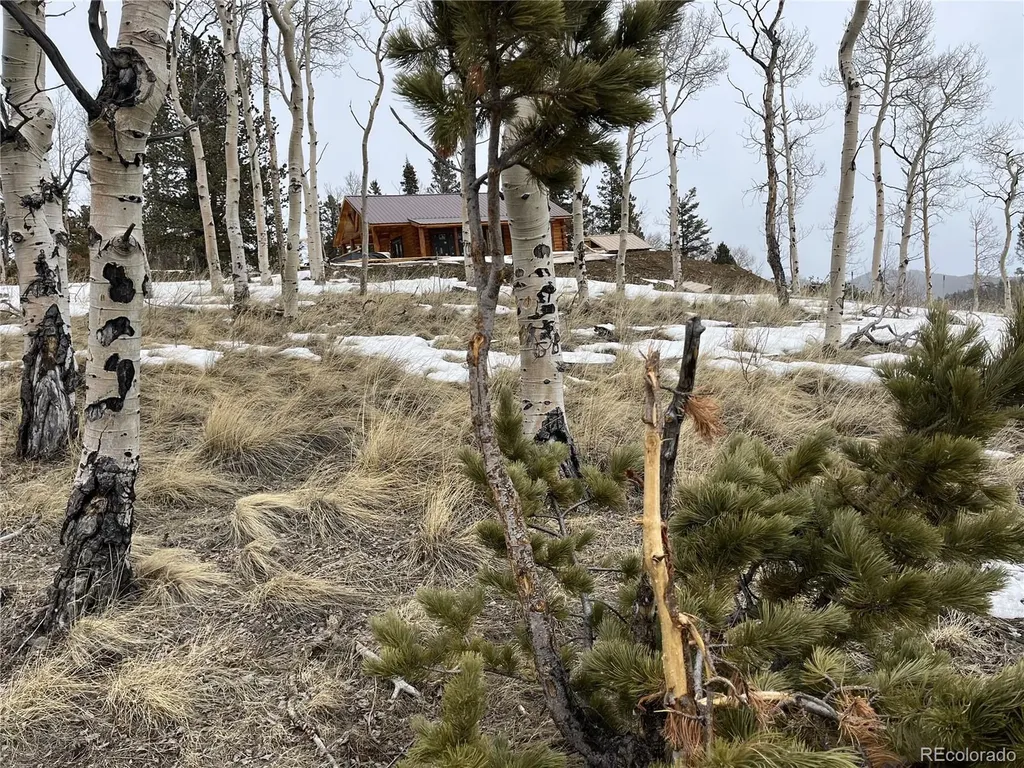 3425 Co Road 360 Westcliffe CO 81252