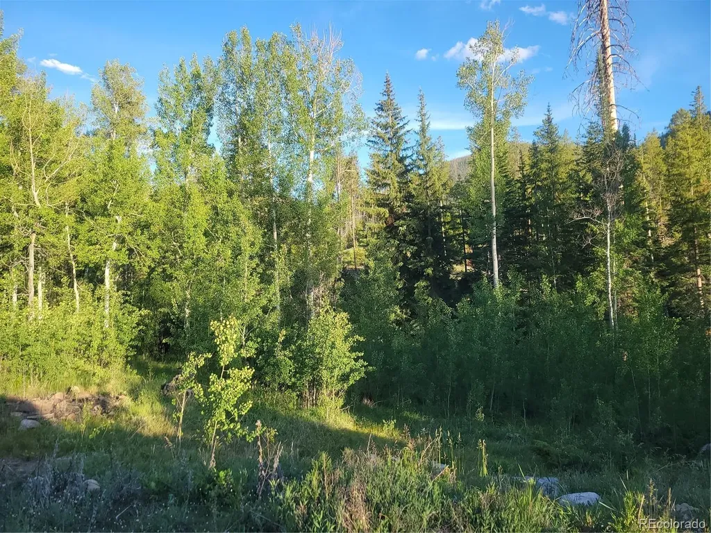 2015 W Portal Grand Lake CO 80447