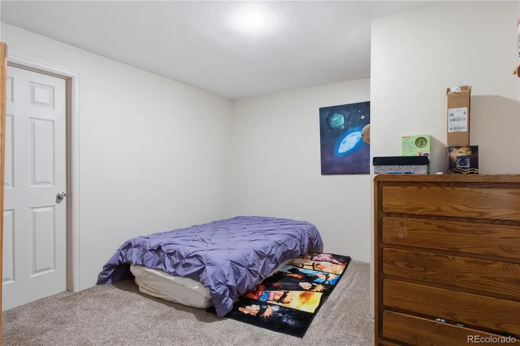 329 Apache Plume Street Brighton CO 80601