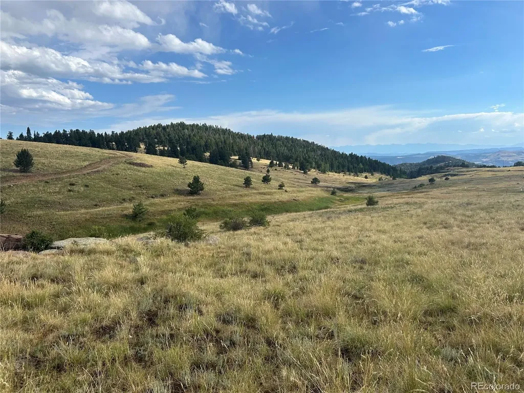1100 Grumpy Burro View Cripple Creek CO 80863