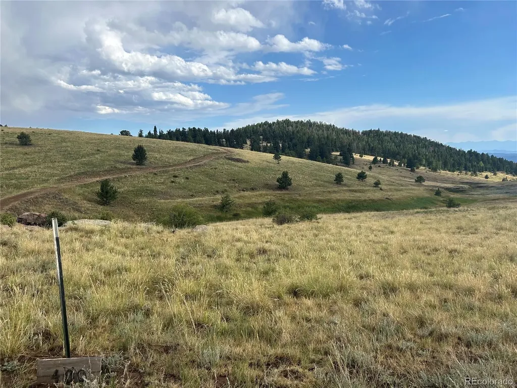 1100 Grumpy Burro View Cripple Creek CO 80863