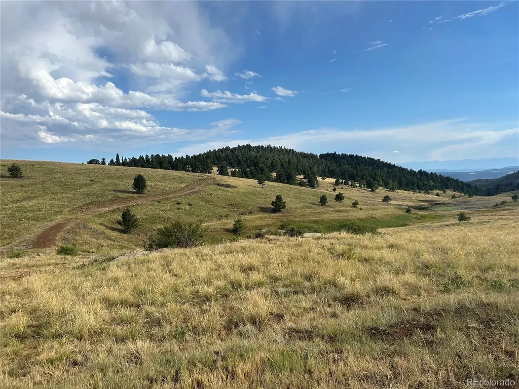 1100 Grumpy Burro View Cripple Creek CO 80863