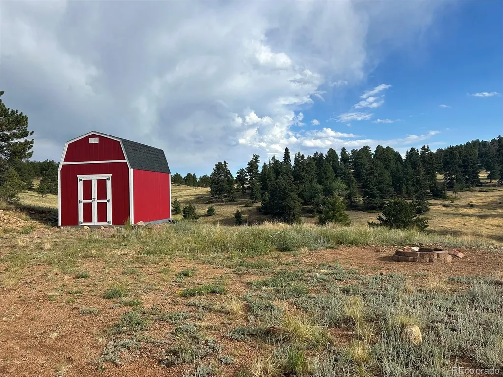1100 Grumpy Burro View Cripple Creek CO 80863