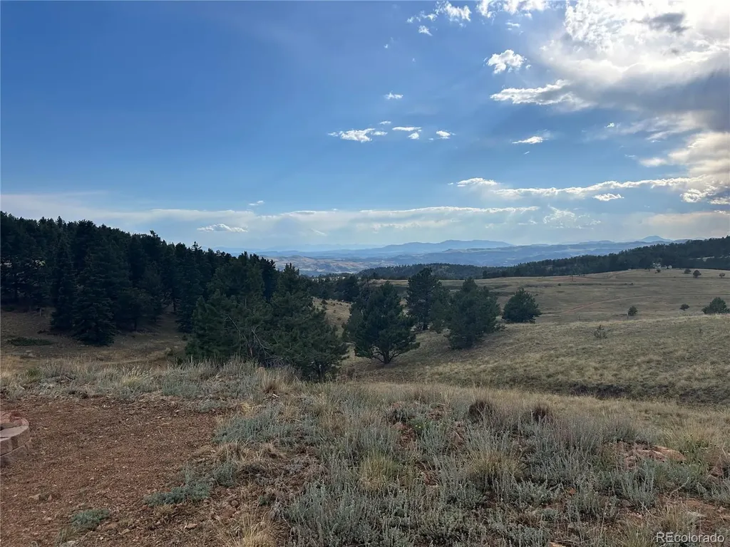1100 Grumpy Burro View Cripple Creek CO 80863