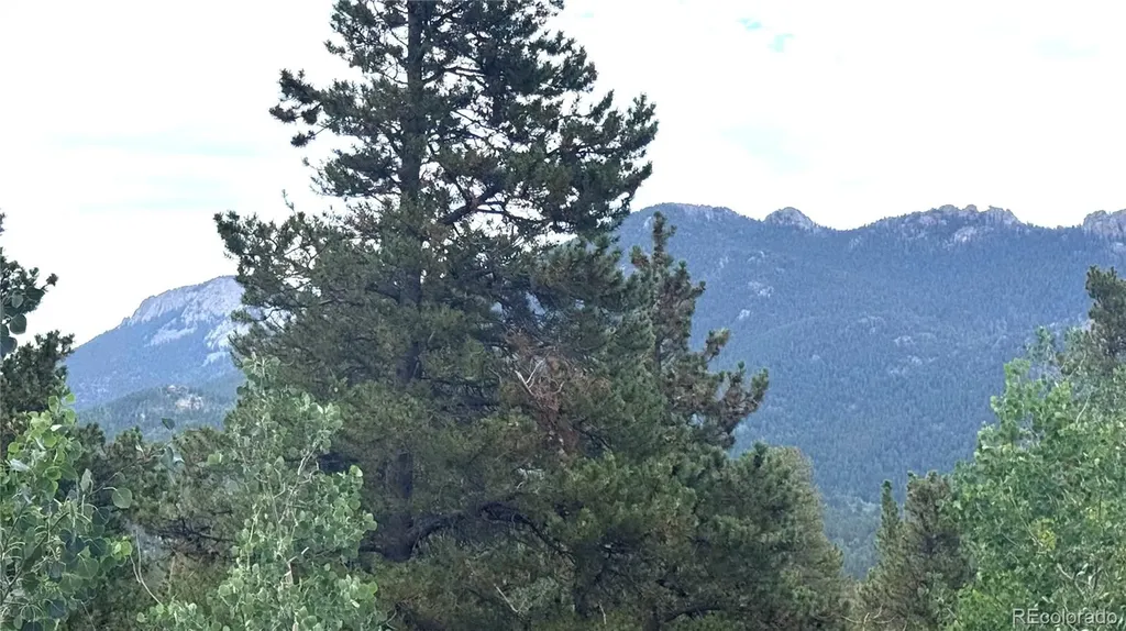 451 Highpoint Circle Black Hawk CO 80422