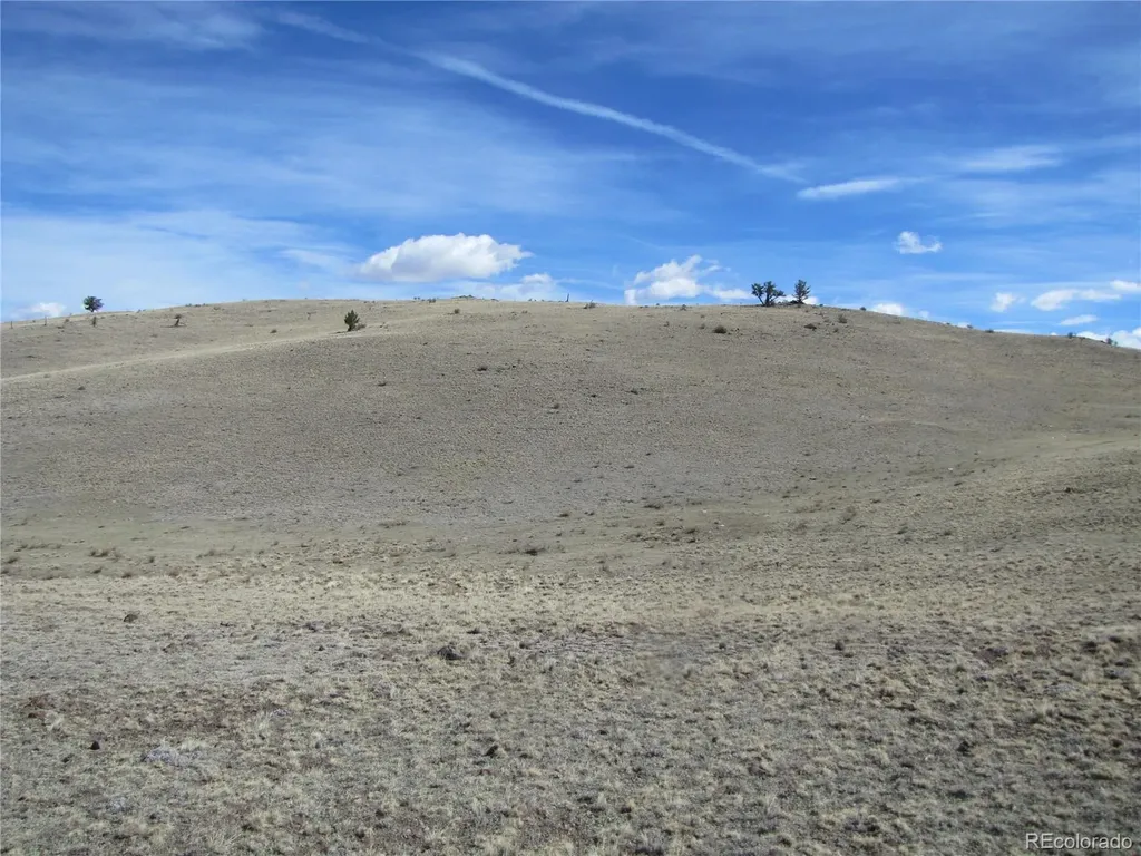 323 Idaho Trail Hartsel CO 80449