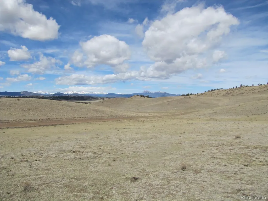 323 Idaho Trail Hartsel CO 80449