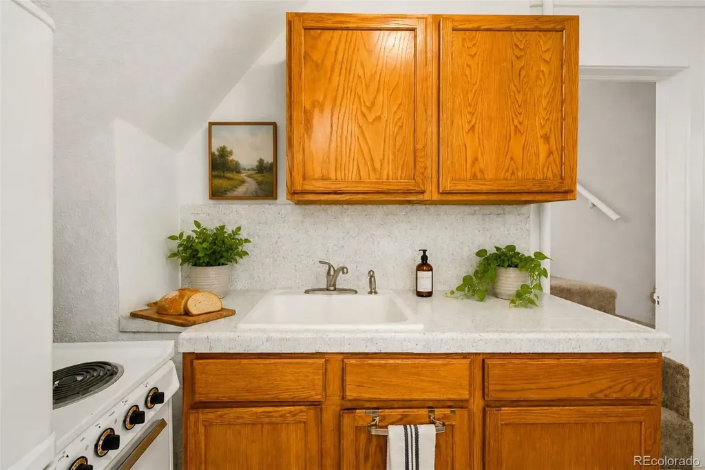 1136 Logan Street Denver CO 80203