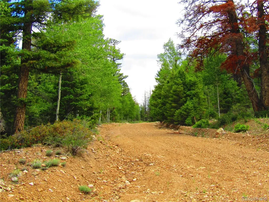Lot 6079 Stella Road San Luis CO 81152