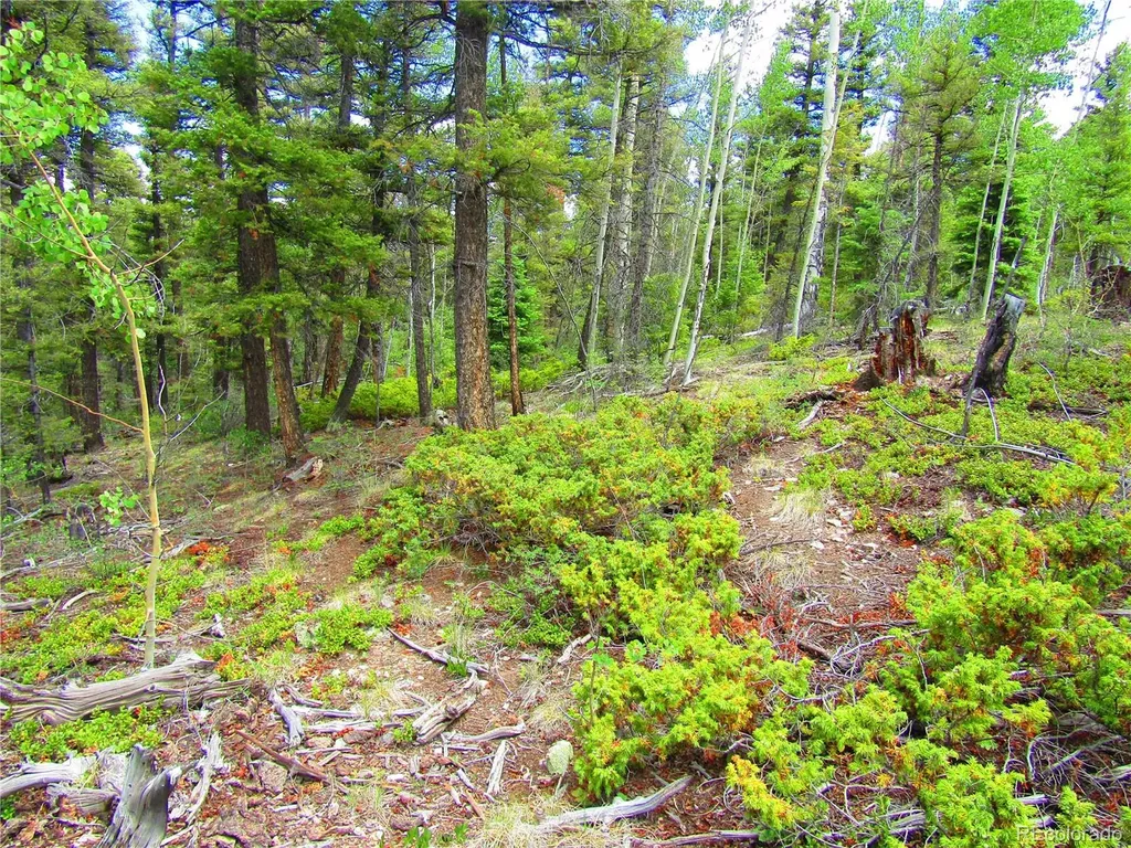 Lot 6079 Stella Road San Luis CO 81152