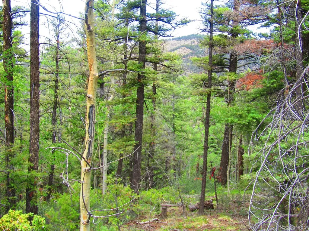 Lot 6079 Stella Road San Luis CO 81152