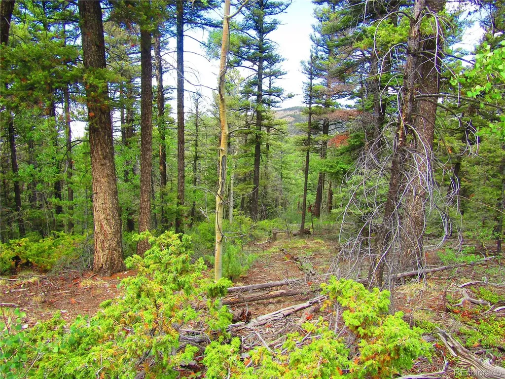 Lot 6079 Stella Road San Luis CO 81152