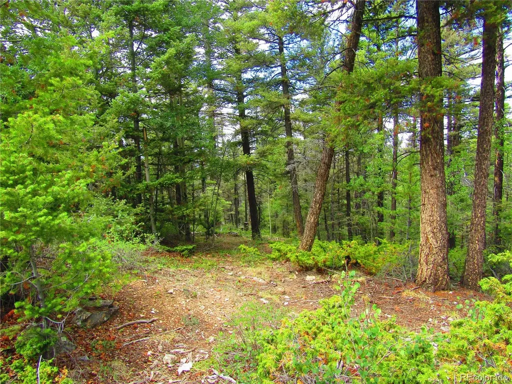 Lot 6079 Stella Road San Luis CO 81152