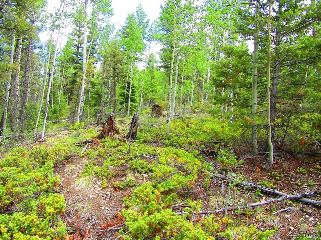 Lot 6079 Stella Road San Luis CO 81152