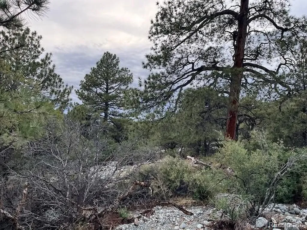 Lot 6 Nn 18th Street Blanca CO 81123