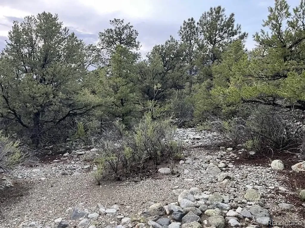 Lot 6 Nn 18th Street Blanca CO 81123