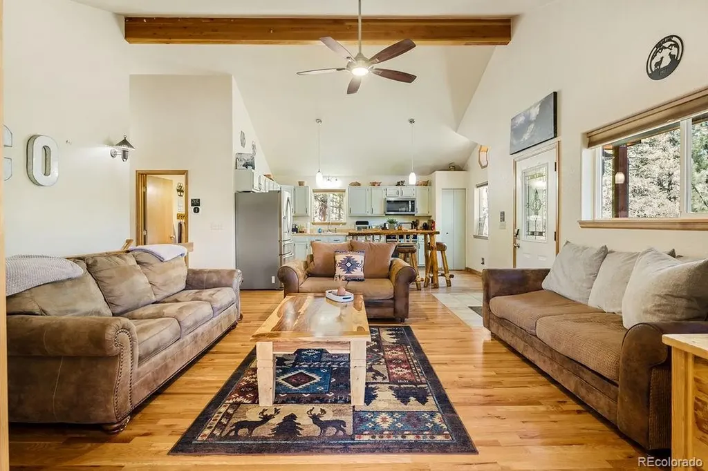 163 Buffum Street Bailey CO 80421
