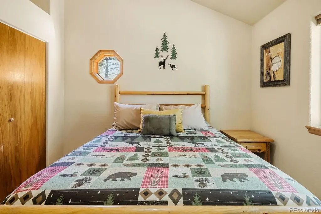 163 Buffum Street Bailey CO 80421
