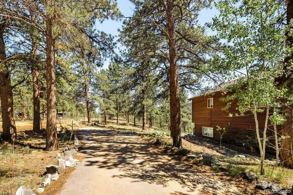 163 Buffum Street Bailey CO 80421