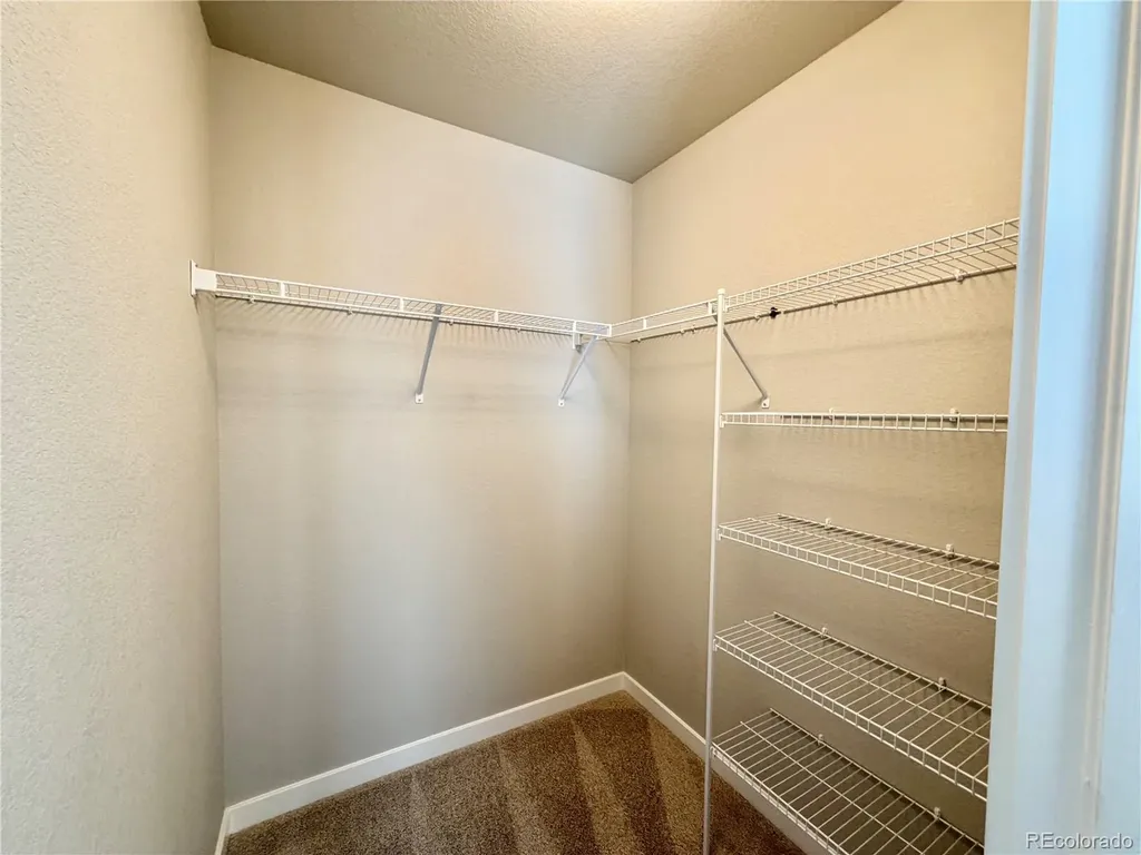3659 Levy Park Drive Colorado Springs CO 80922