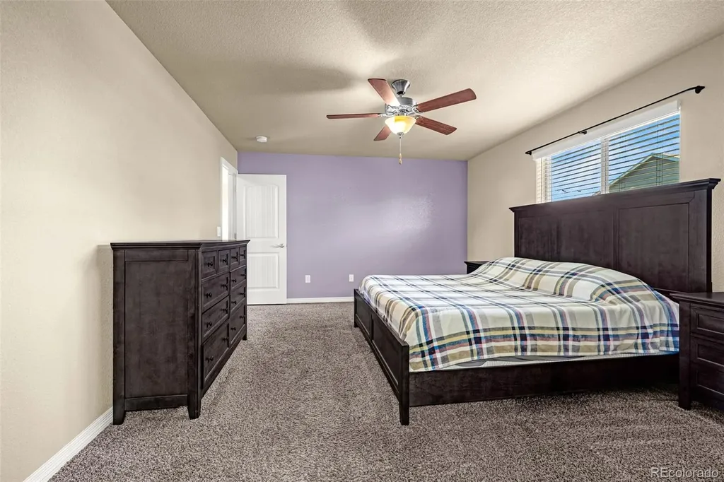 10924 Nolin Drive Colorado Springs CO 80925