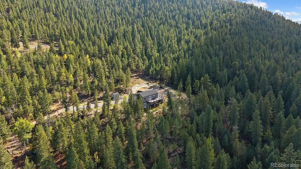 33884 Bergen View Trail Evergreen CO 80439