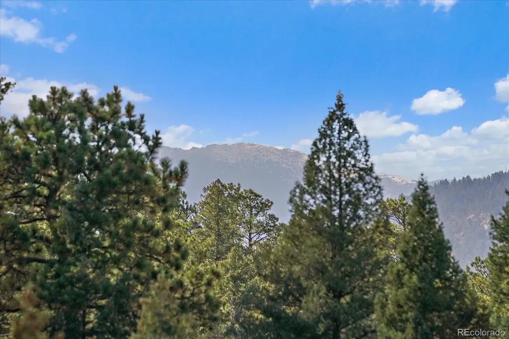 33884 Bergen View Trail Evergreen CO 80439
